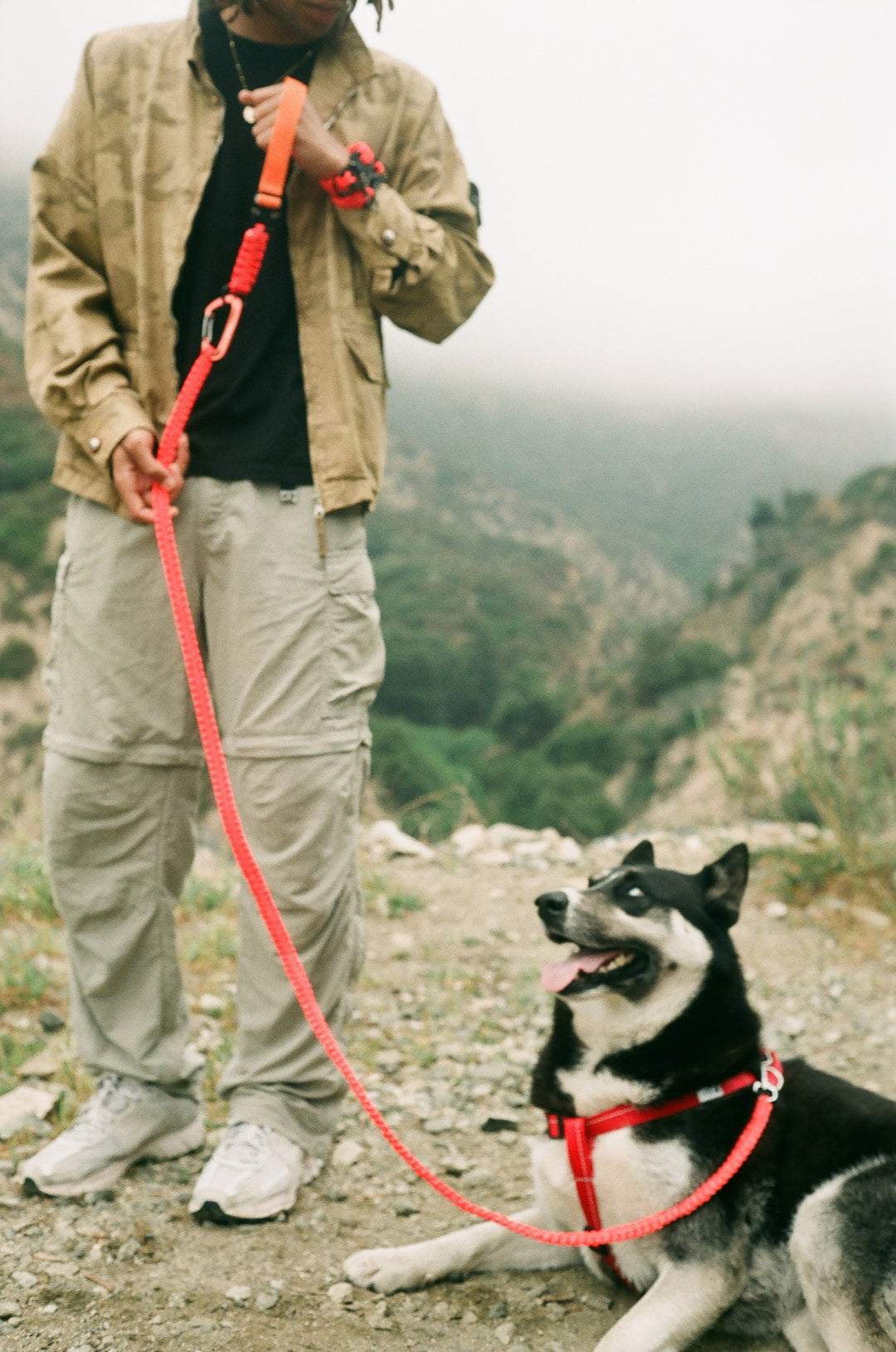 RAIDEN-DOG LEASH-military-grade-outdoors-gear-made-in-usa-lee-side-mountain-research.jpg